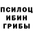 Псилоцибиновые грибы Cubensis Amit Bharadwaj
