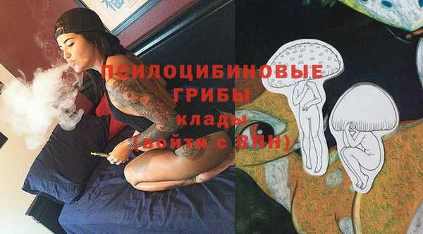 экстази Богородск