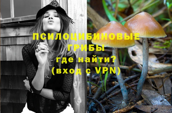 прущие крисы Тында